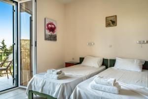Anemona studio D