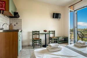 Anemona studio D