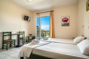 Anemona studio D
