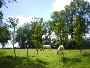 La petite chaumière