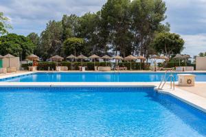 Agata Holiday