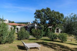 Li Conchi 34 img13