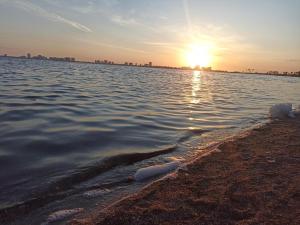 Brisa Marina Playa Honda