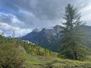 Ninette, intimità e natura