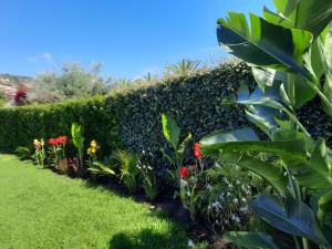 Villa Bua img5