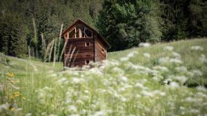 Burgfrieder Mühle