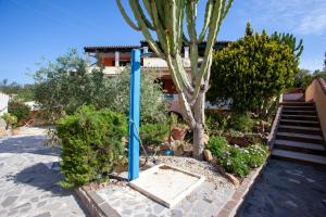 Appartamento Tamerice img14