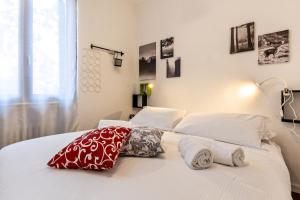 la vigna del Vescovo