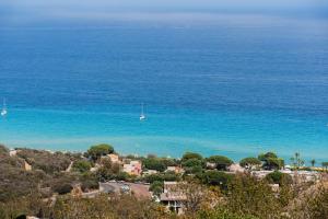 Villa Fico dIndia n10