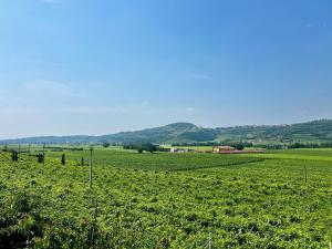 Bio Agriturismo Falezze