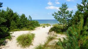 Gut Rattelvitz - Galerie Mitte