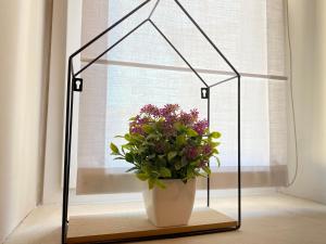 Villa Vacanze Pink Lady