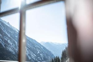 Kofler zw den Wänden Apt Alpenrose