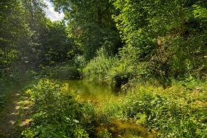 Ferienwohnungen Demberg
