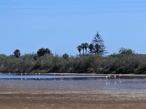 Villa Rosa con accesso sul mare