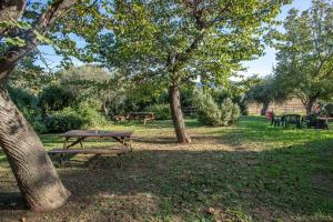Celestina- Agriturismo La Valentina