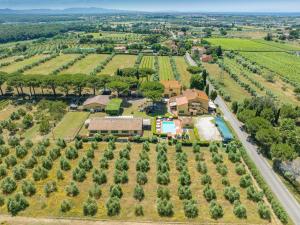 Il Pino - appartamento Alloro
