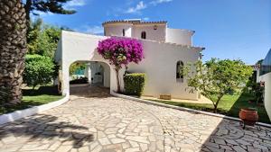 Villa Palmeira Galé Beach