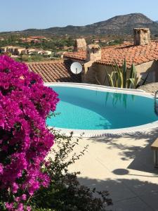 Villa Roccia d'oro piscina privata