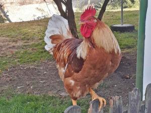 Ferienwohnungen Baust Im Mühlental