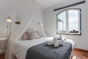 Casa das Furnas - Eco Home