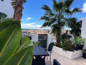 Casita Agave