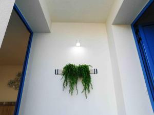 Mono vista mare Dauni