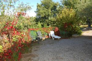 Gîte Olivier 1 - Village De Gîtes