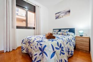 Apartamentos de Miguel