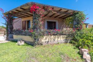 Villa Athena img3