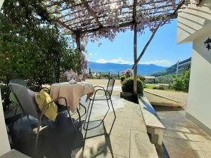 Fröhlichhof Wohnung Pergola