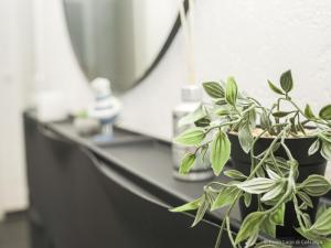 Fewo Lago di Costanza I