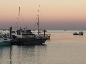 Charmant T2 Coeur De Ville