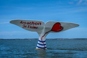 Charmant T2 Coeur De Ville