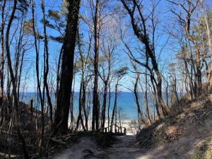 Oaza - jacuzzi, sauny, sala zabaw, bilard, garaż, do plaży 400m