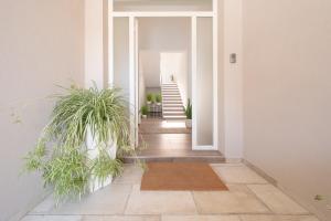 Ingrosso Suites in Salento