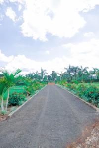 Rhovee Homes