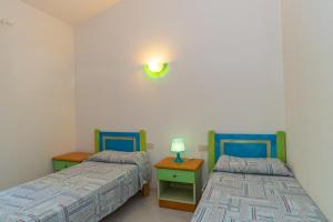 Conchiglia Verde img14