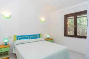 Conchiglia Verde img8