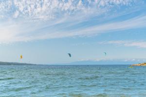 Conchiglia Verde img24