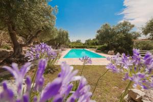 Trullo Agapanthus With Panoramic