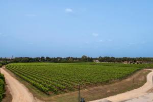 Tenuta Vigna Corallo - Dalia