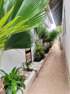 90m to Paje Beach walk to shops bars markets