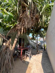 New Grace Homestay