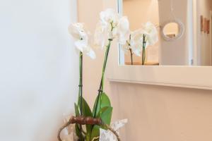 Il Piccolo Borgo - Quadrilocale