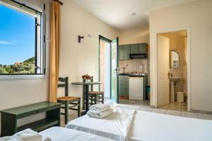 Anemona studio E