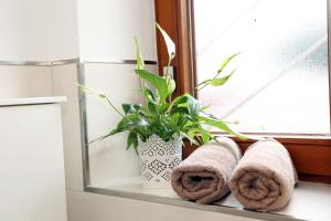 Appartement Schwarzwaldstüble