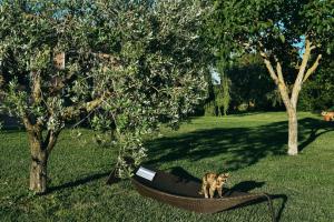 Vallerana Appartamenti