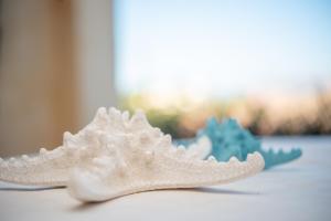 Sardegnaot vista mare piscina e spa