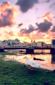 Villa Xi Il Mare a Due Passi